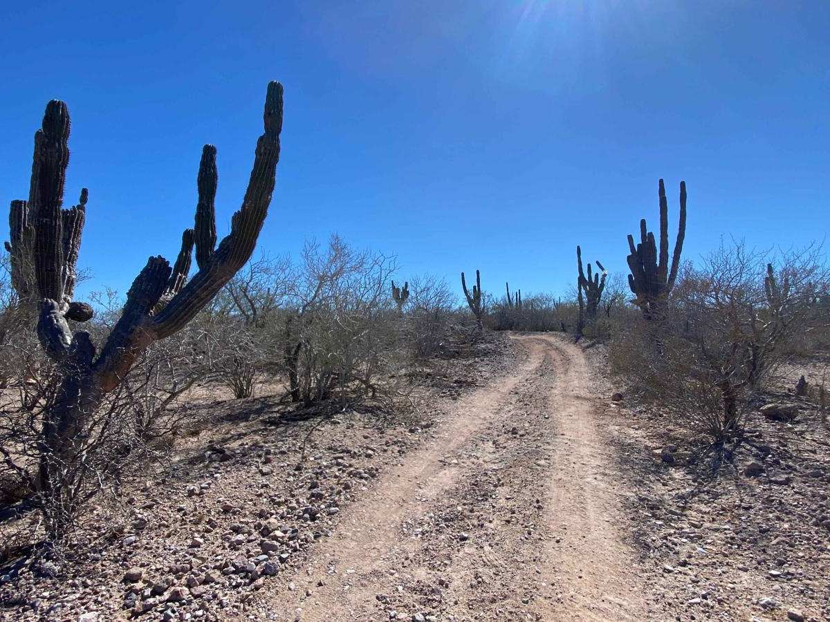 Lopez Loop trail photo