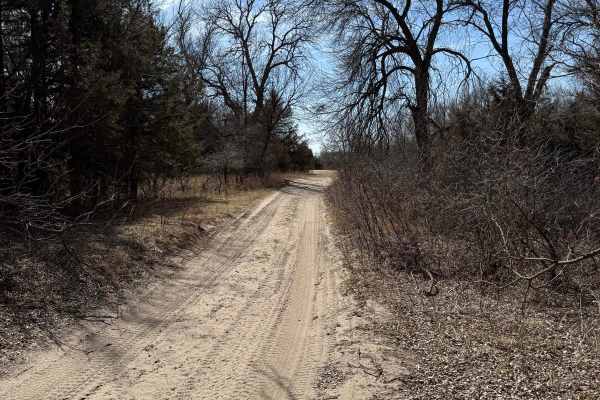 Forest Road 214-2 - County Line