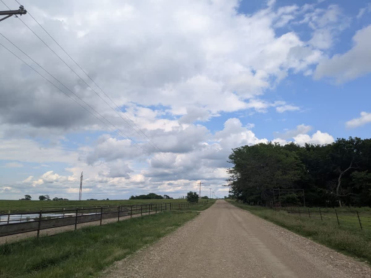 DD Avenue photo 6