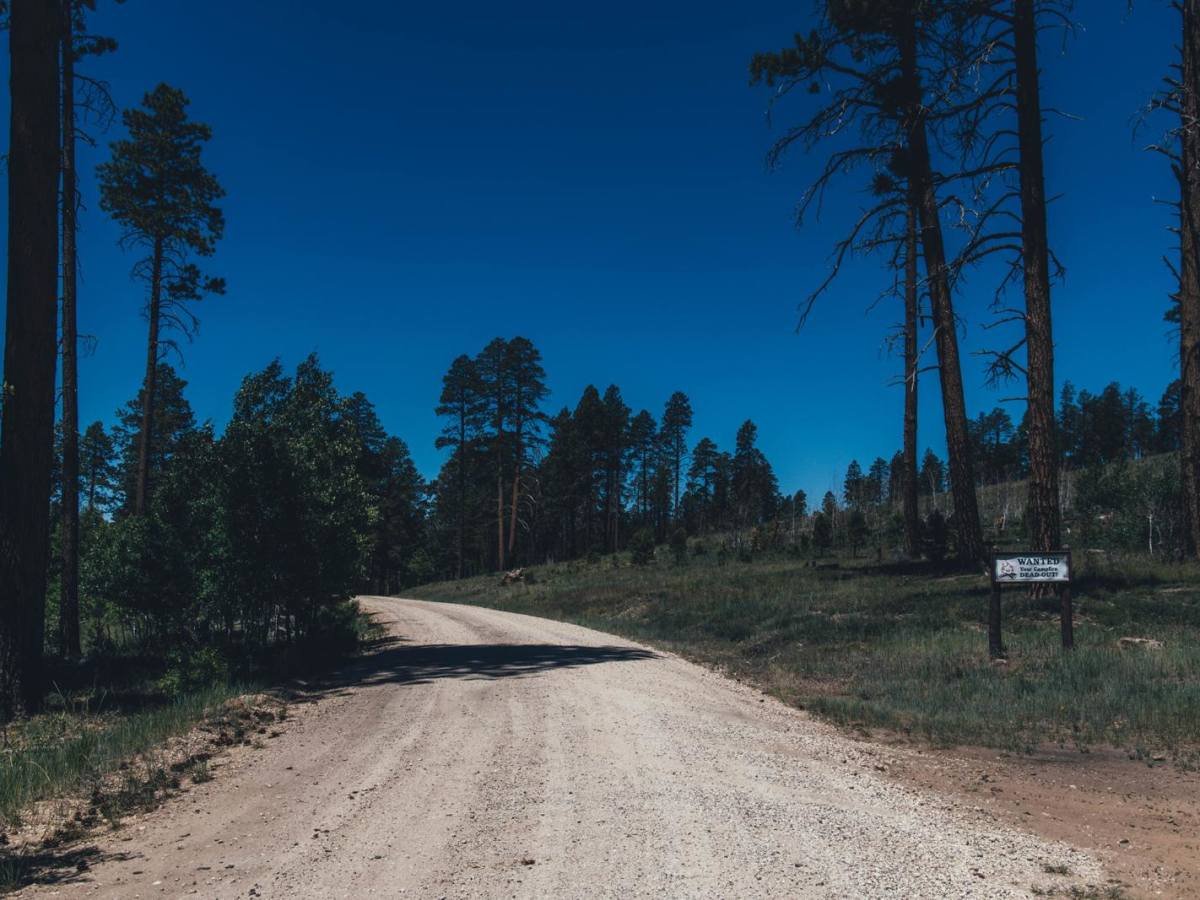 Corral Lake photo 2