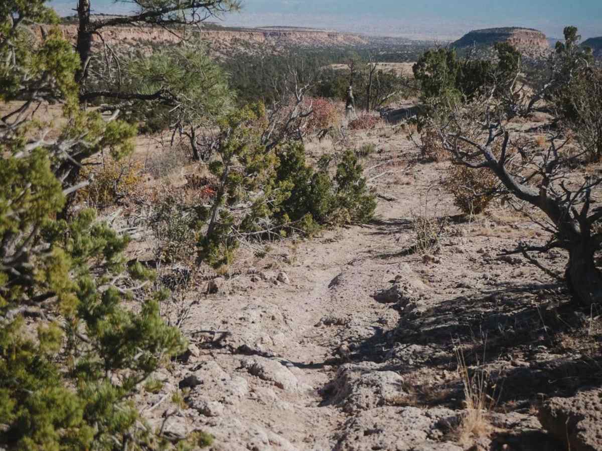 Beanfield Ridge photo 3