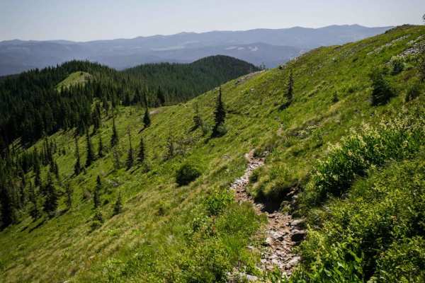 Cedar Mountain