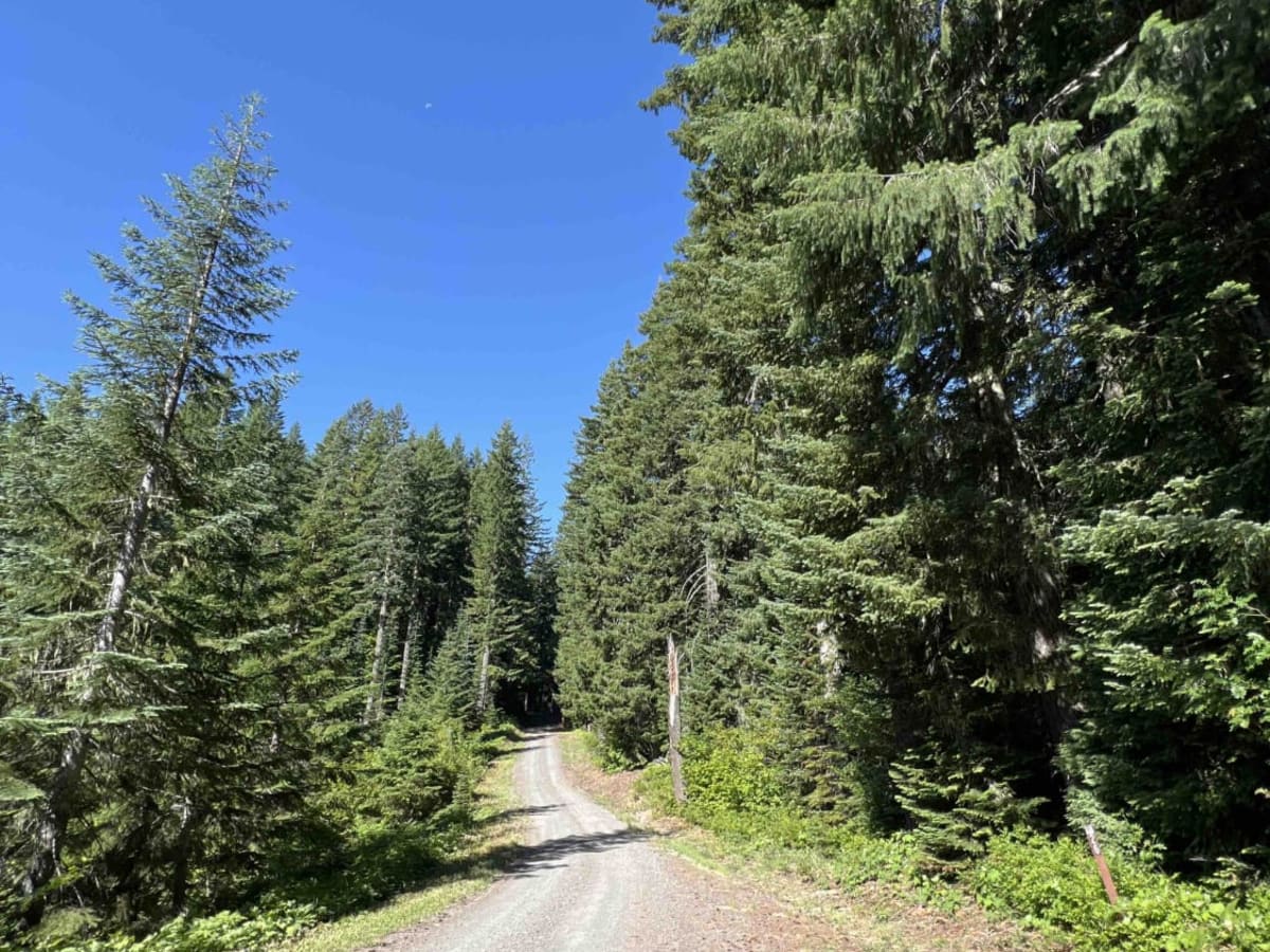 Bear Pass 1509 photo 4