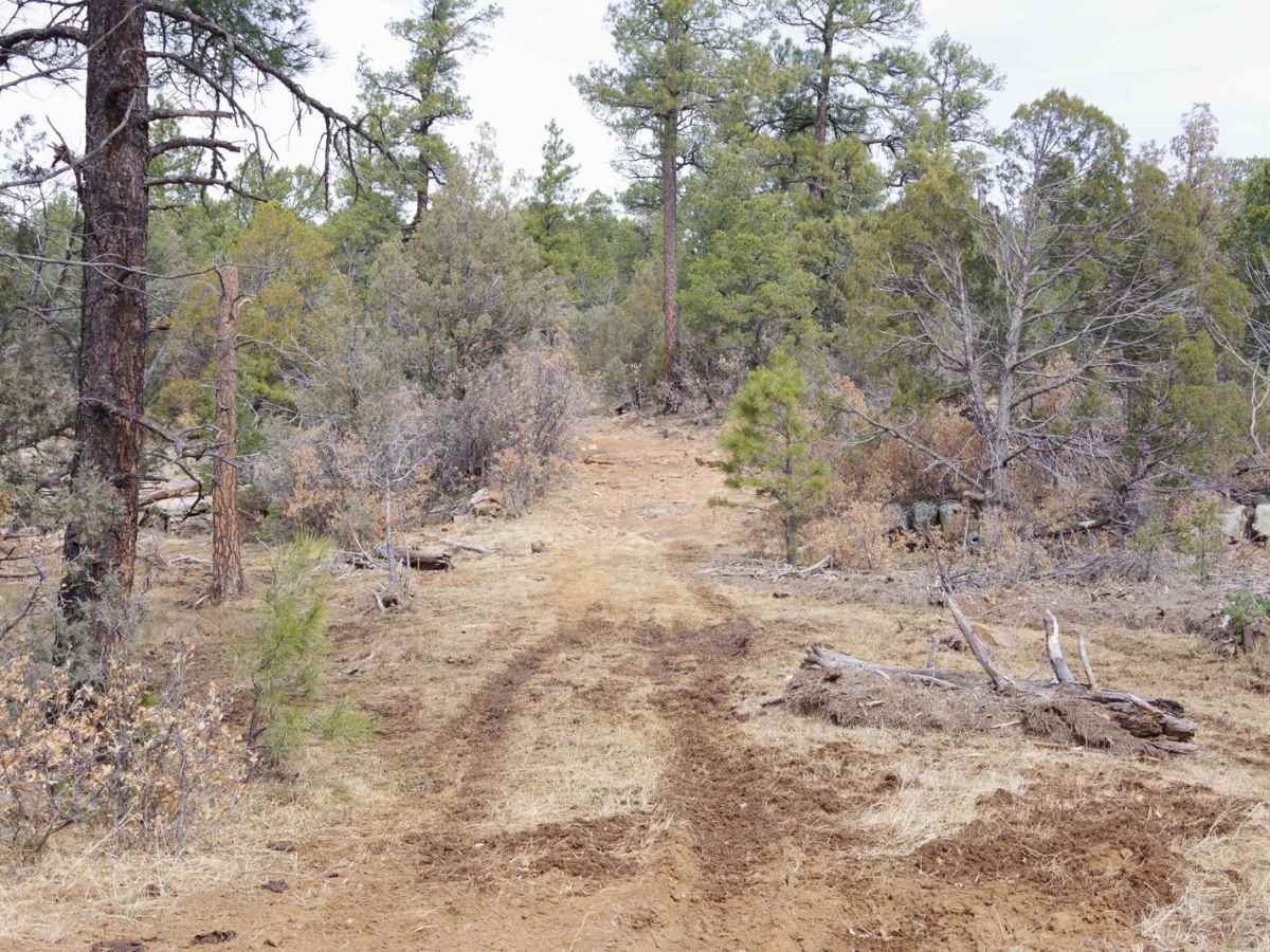 Valle Grande East Cut photo 4