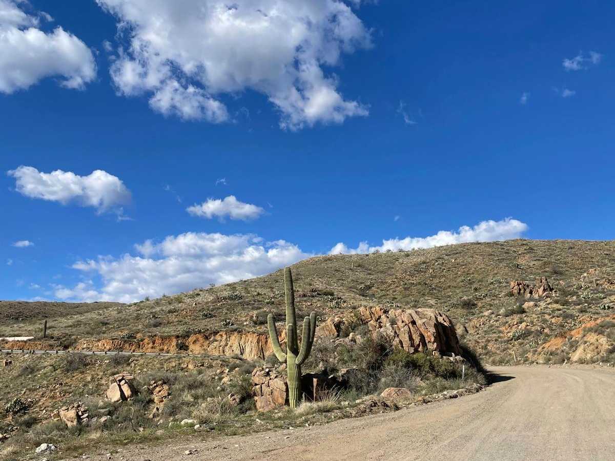 North Entrance to Crown King Road trail photo