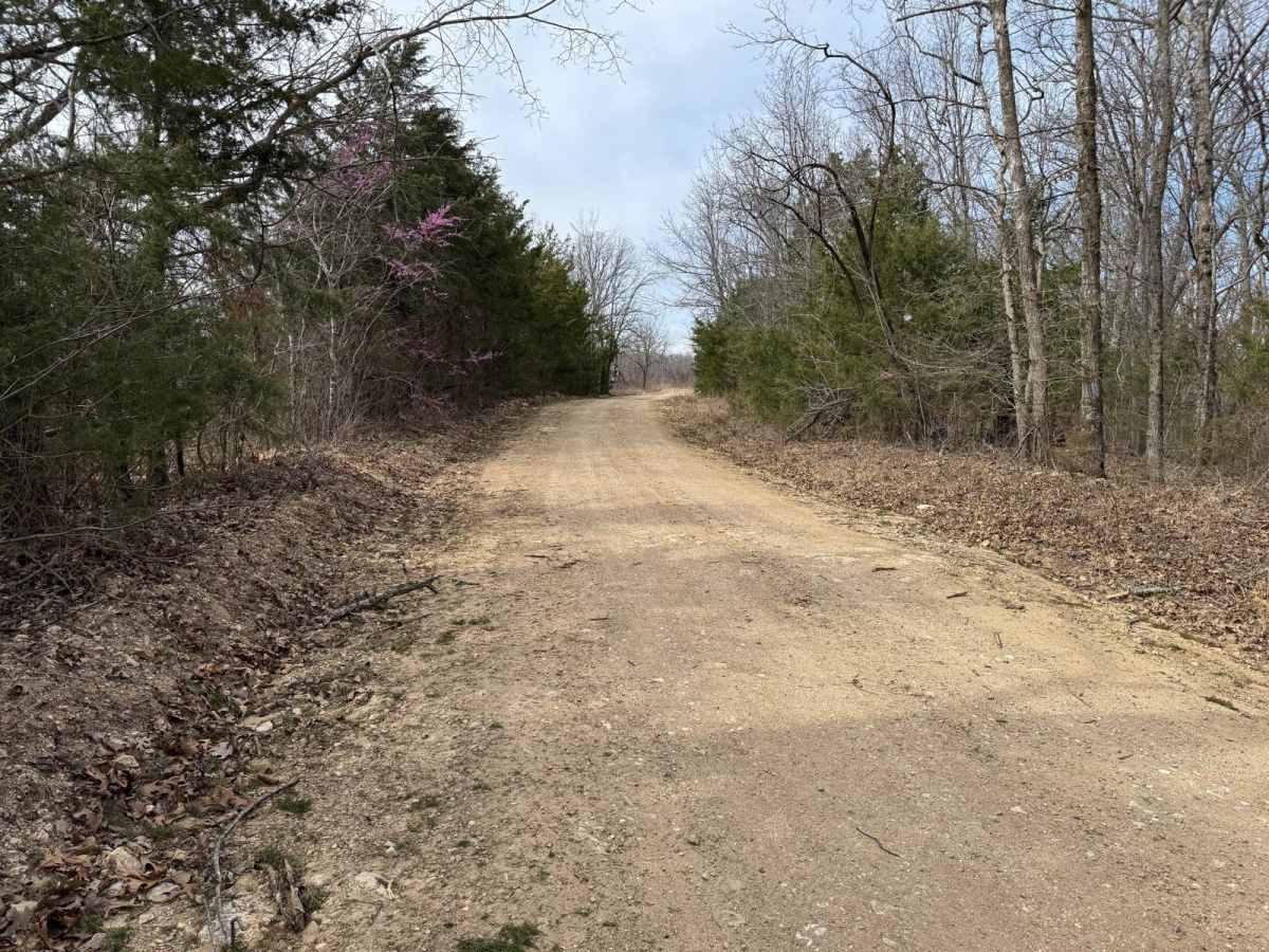 County Road 943 photo 5