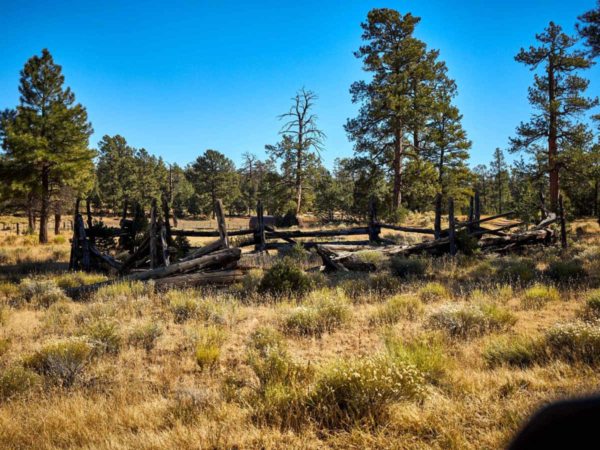 Old Road 2741 photo 5