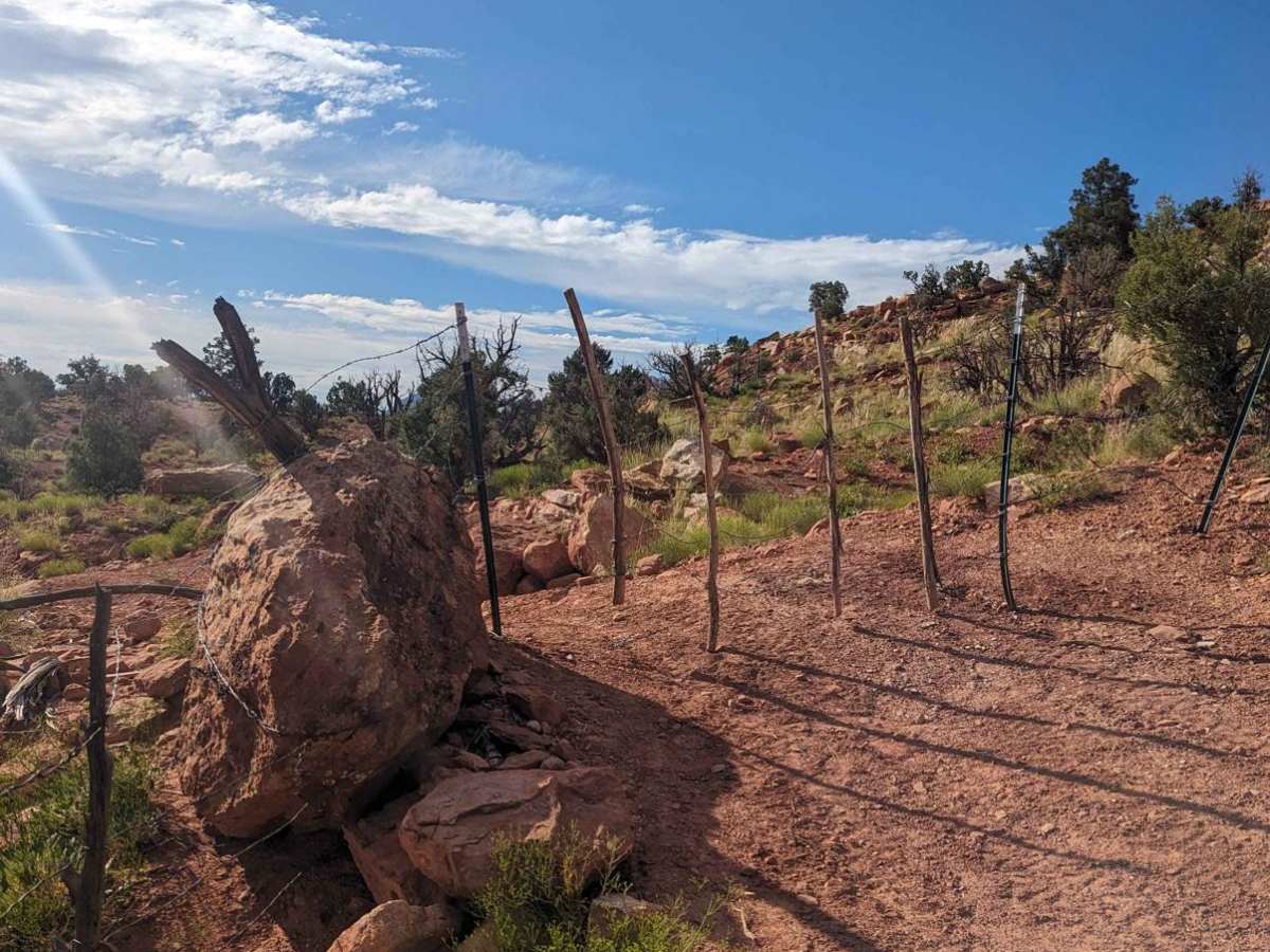 Cottonwood Point photo 4