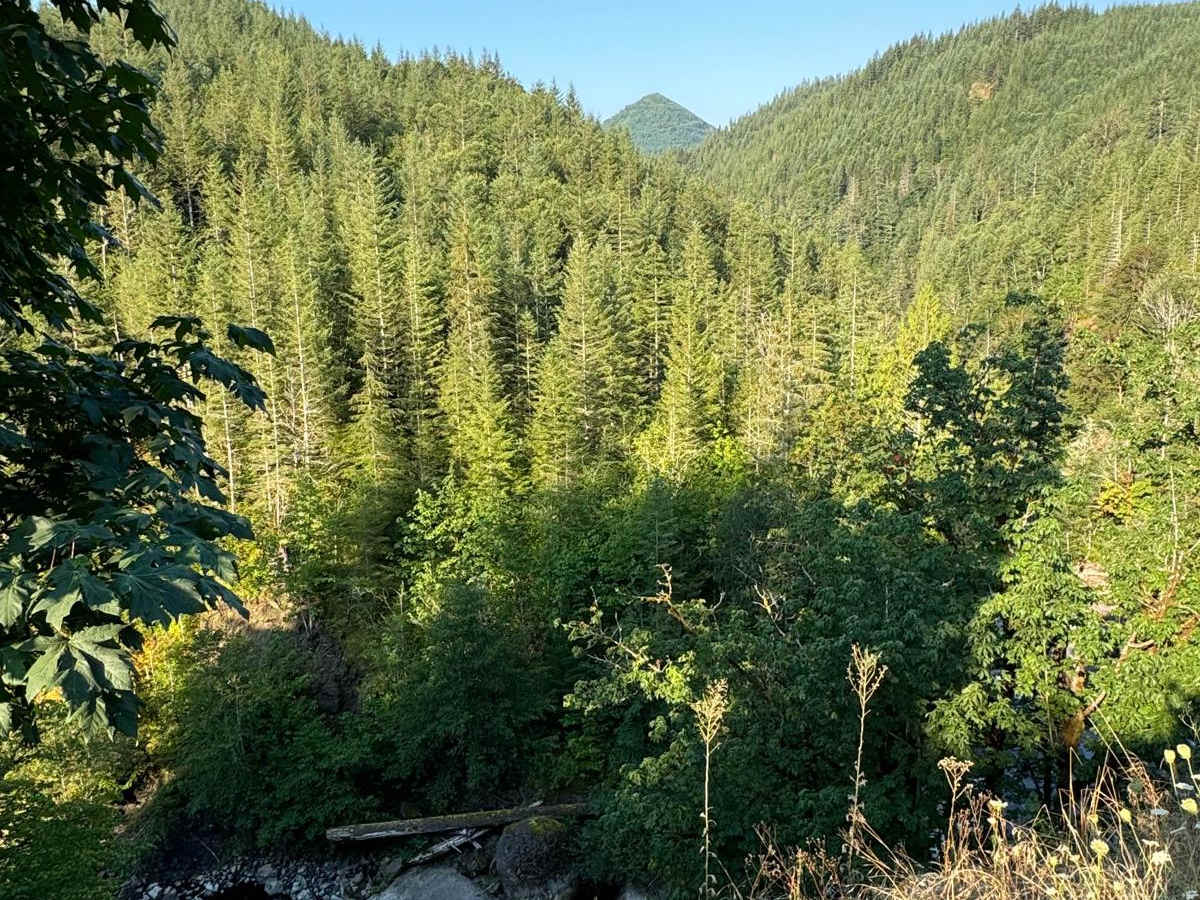S-1000 Loop trail photo