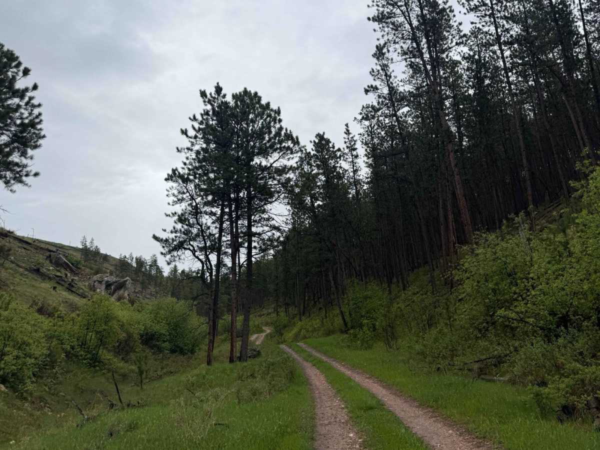 Barrel Springs Br 2B photo 2