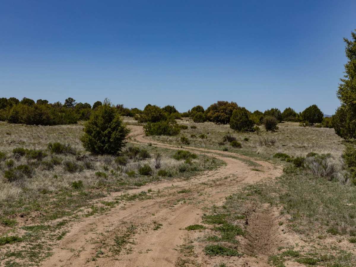 Javelina Camp trail photo