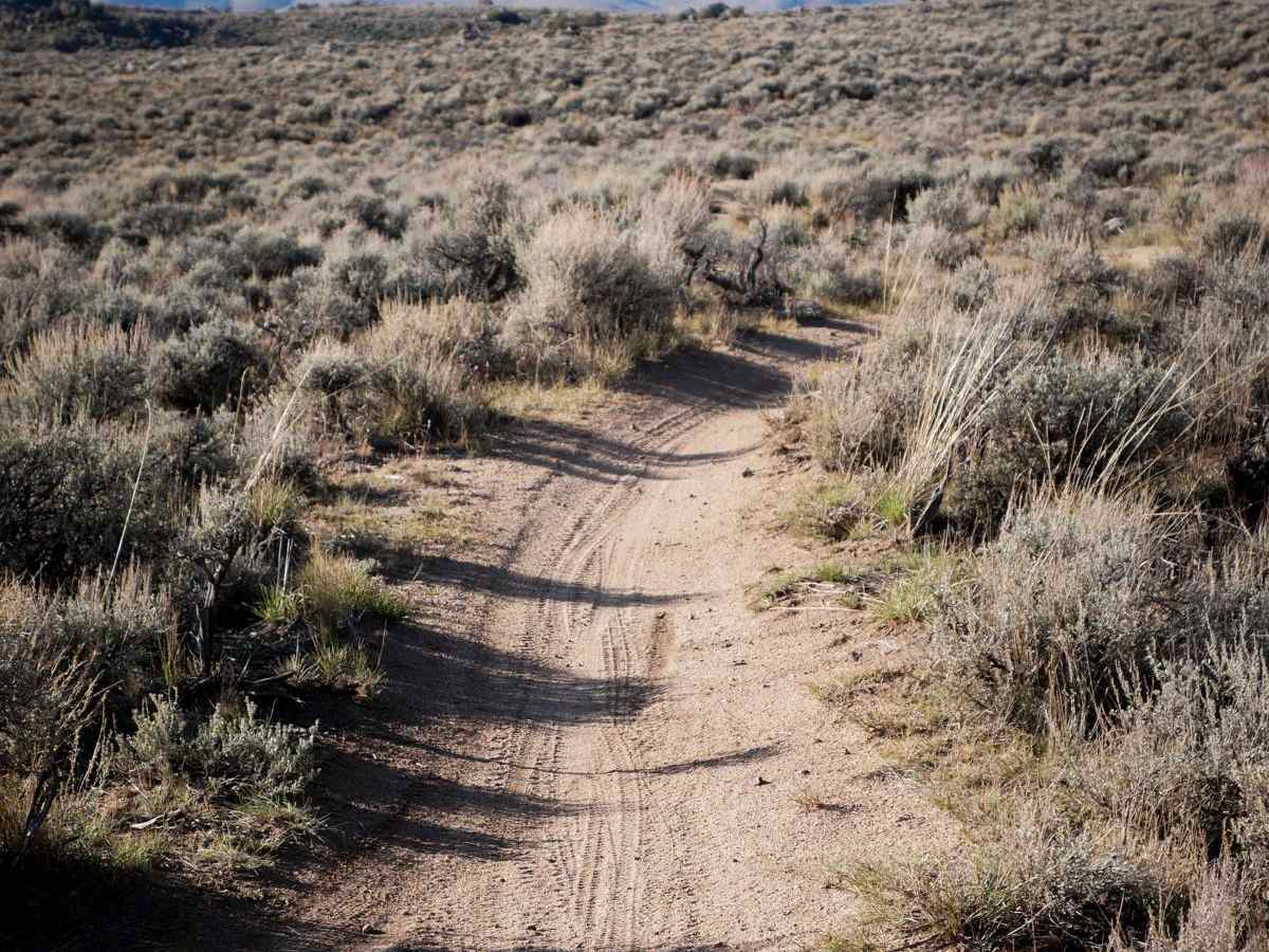 Evans Loop trail photo