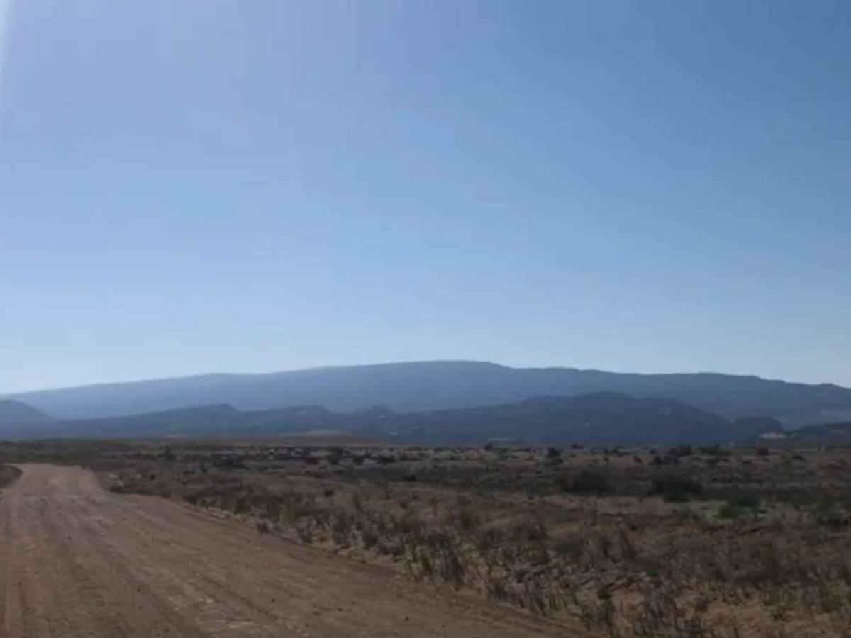 Josie Morris Loop photo 3