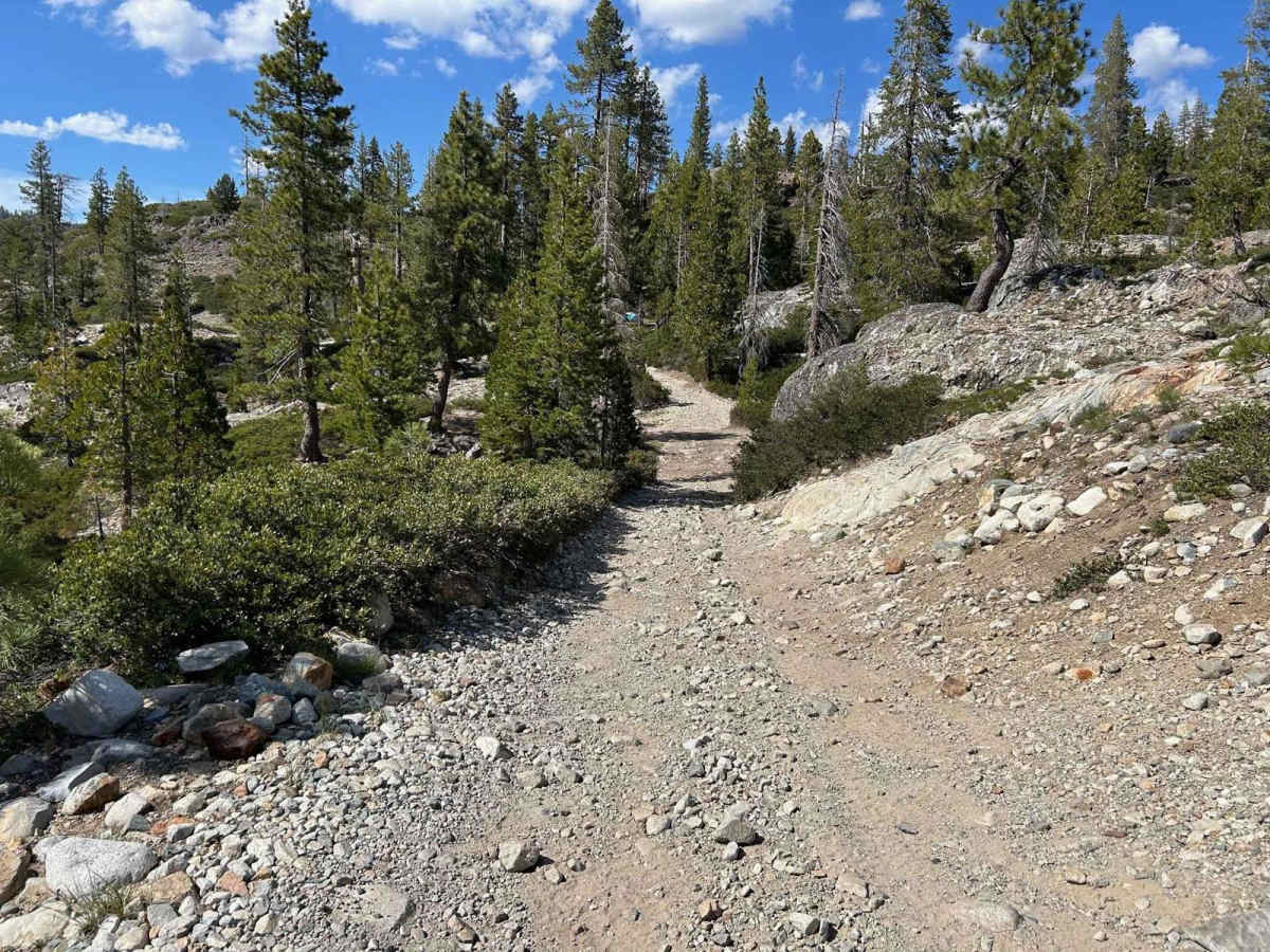Meadow Lake Road trail photo