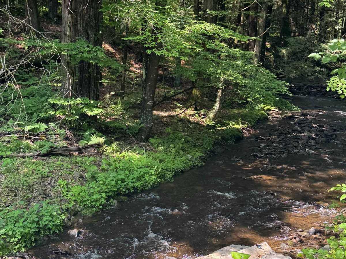 Cooley Creek Road photo 5