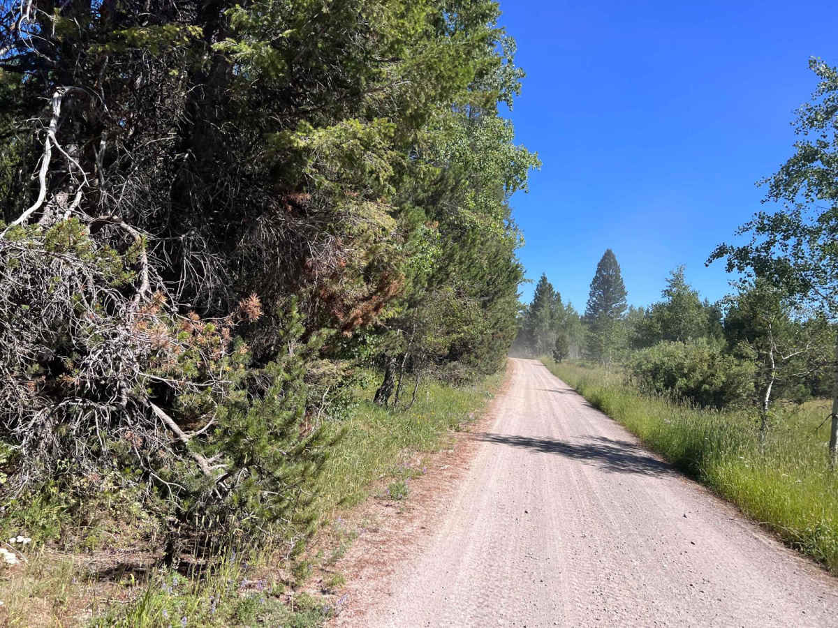 South Antelope Flat Road (20553) photo 2