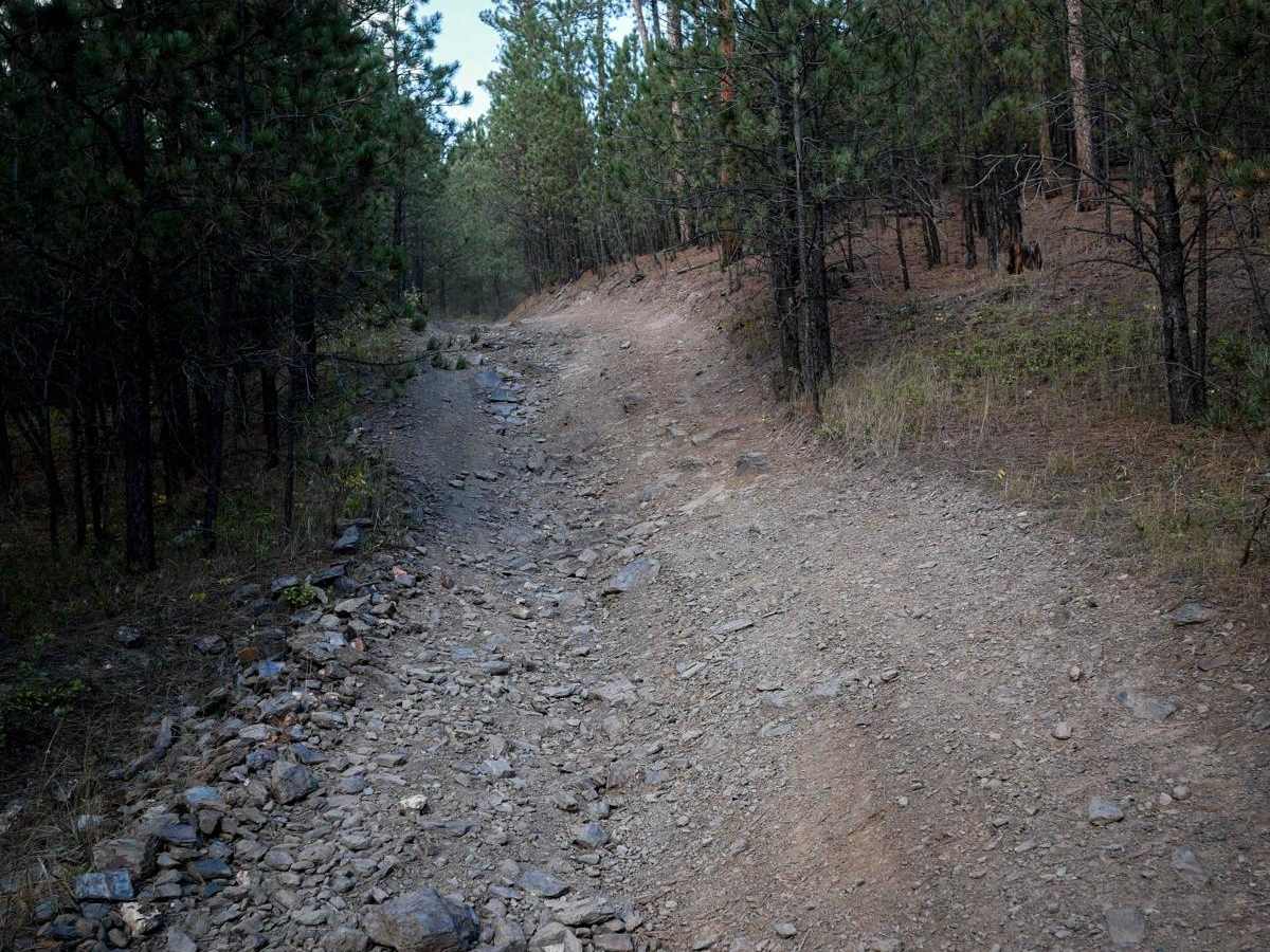 6210 photo 6