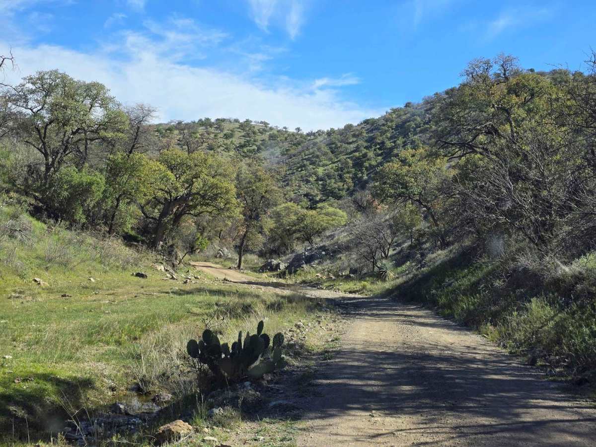 California Gulch Forest Road 217 photo 3