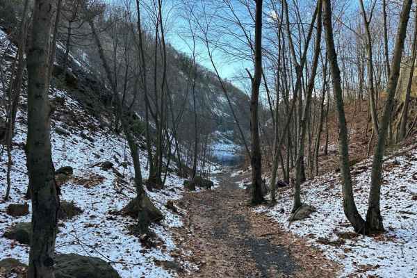 Locust Gap 34