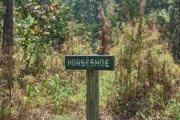 Horseshoe Loop