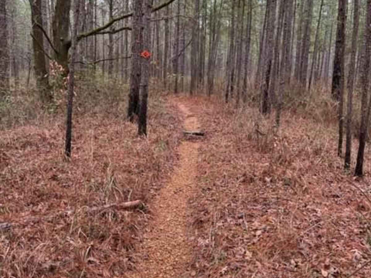Claiborne "A" Loop trail photo