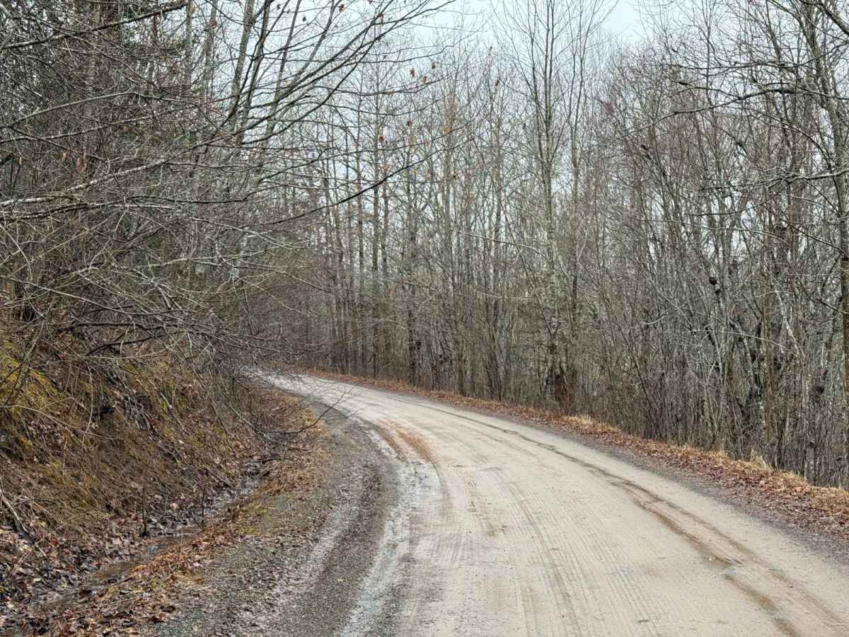 Eldridge Road photo 4