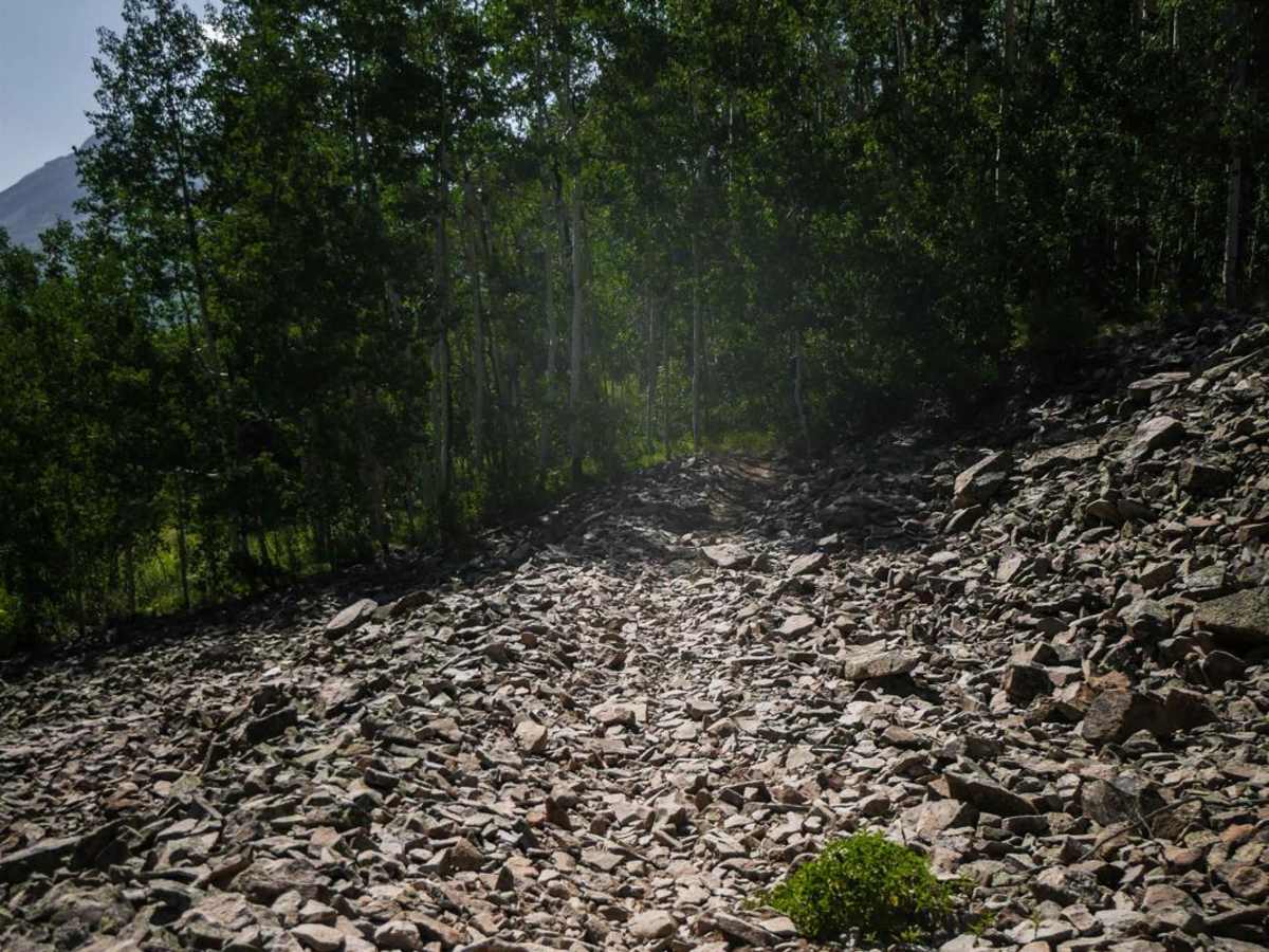 Carbon Trail photo 5