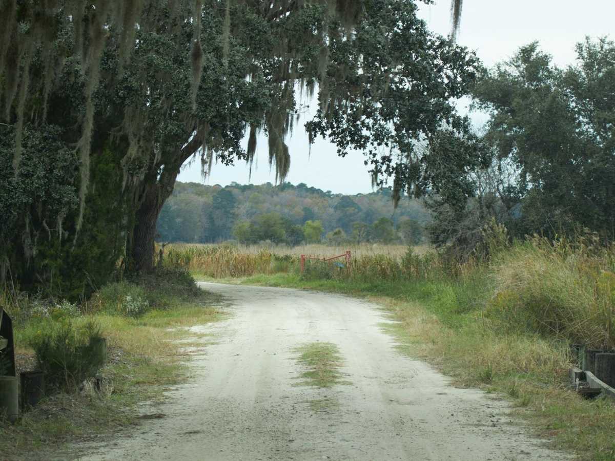 Donnelly WMA PT.5 trail photo