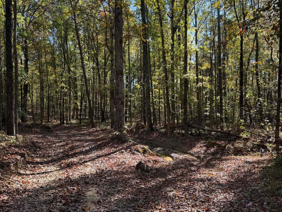 Blue Polaris Outfitter Trail photo 5