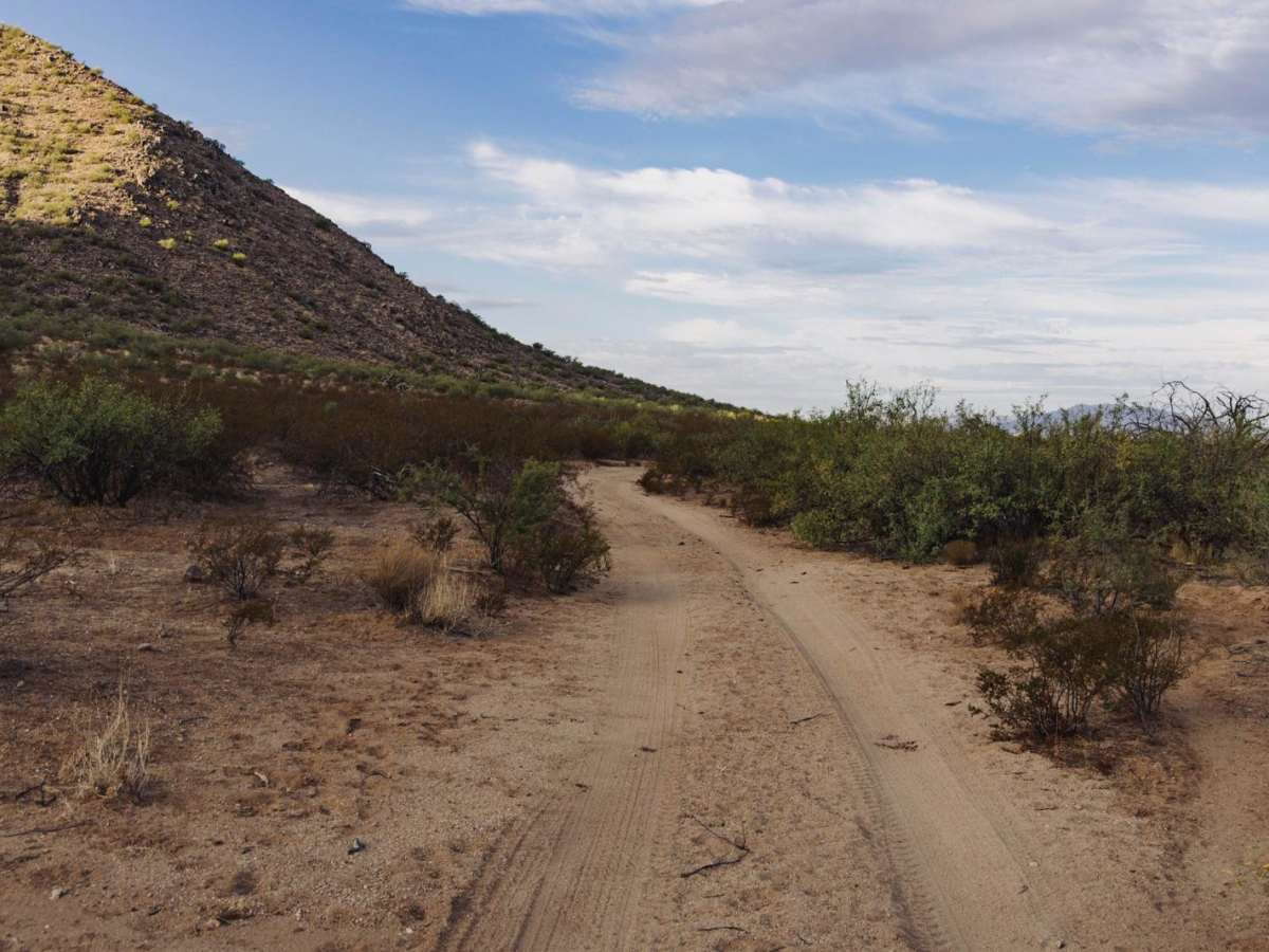 Jam Ranch Cutthrough photo 3