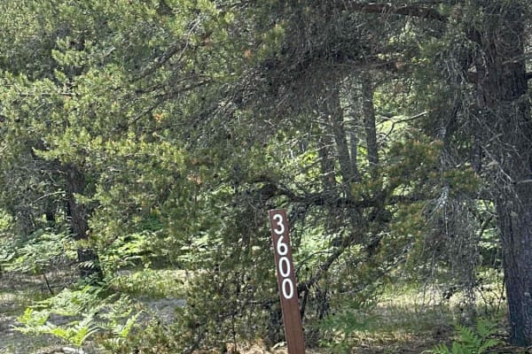 FS 3600