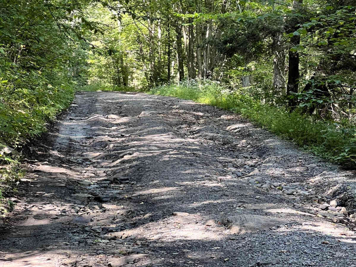 McIntyre Road photo 3