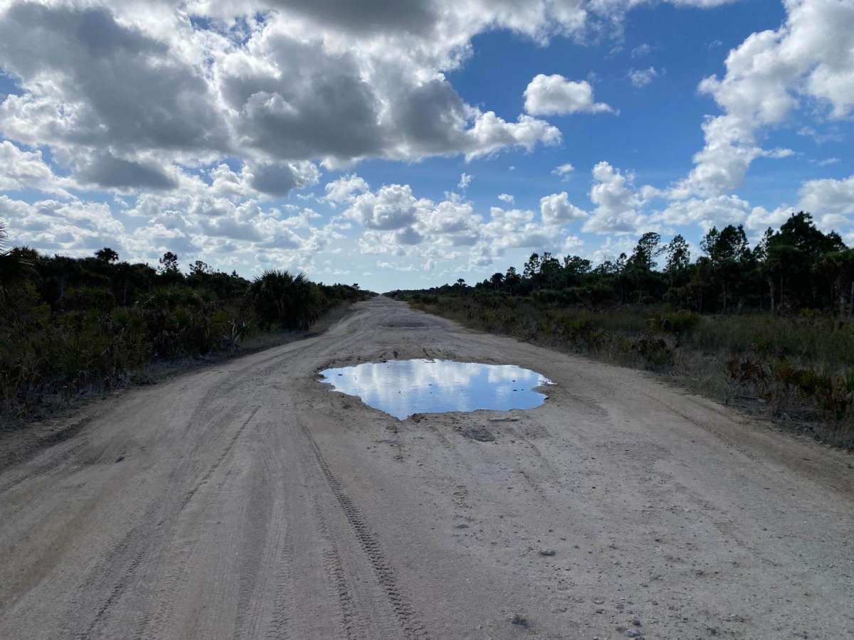Everglades Boulevard photo 6