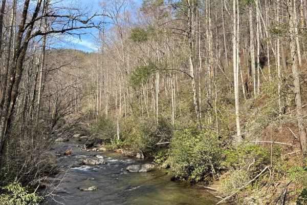 Tallulah River Trail - FR 70