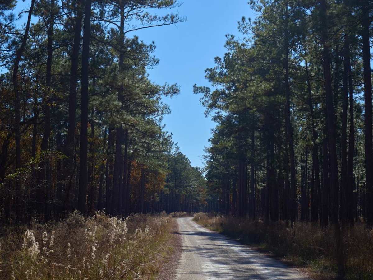 Wardfield - FSR 212 photo 2