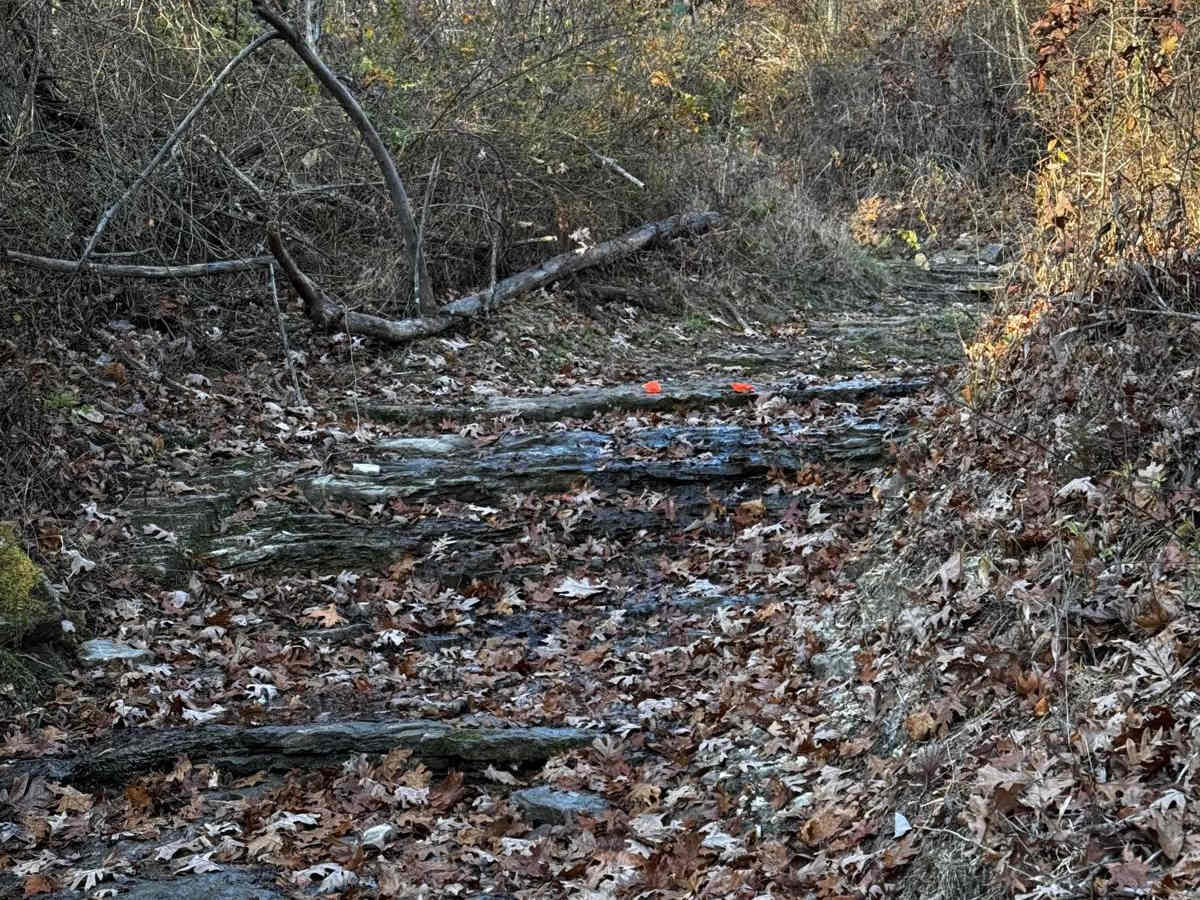 Kanes Candy Lane photo 6