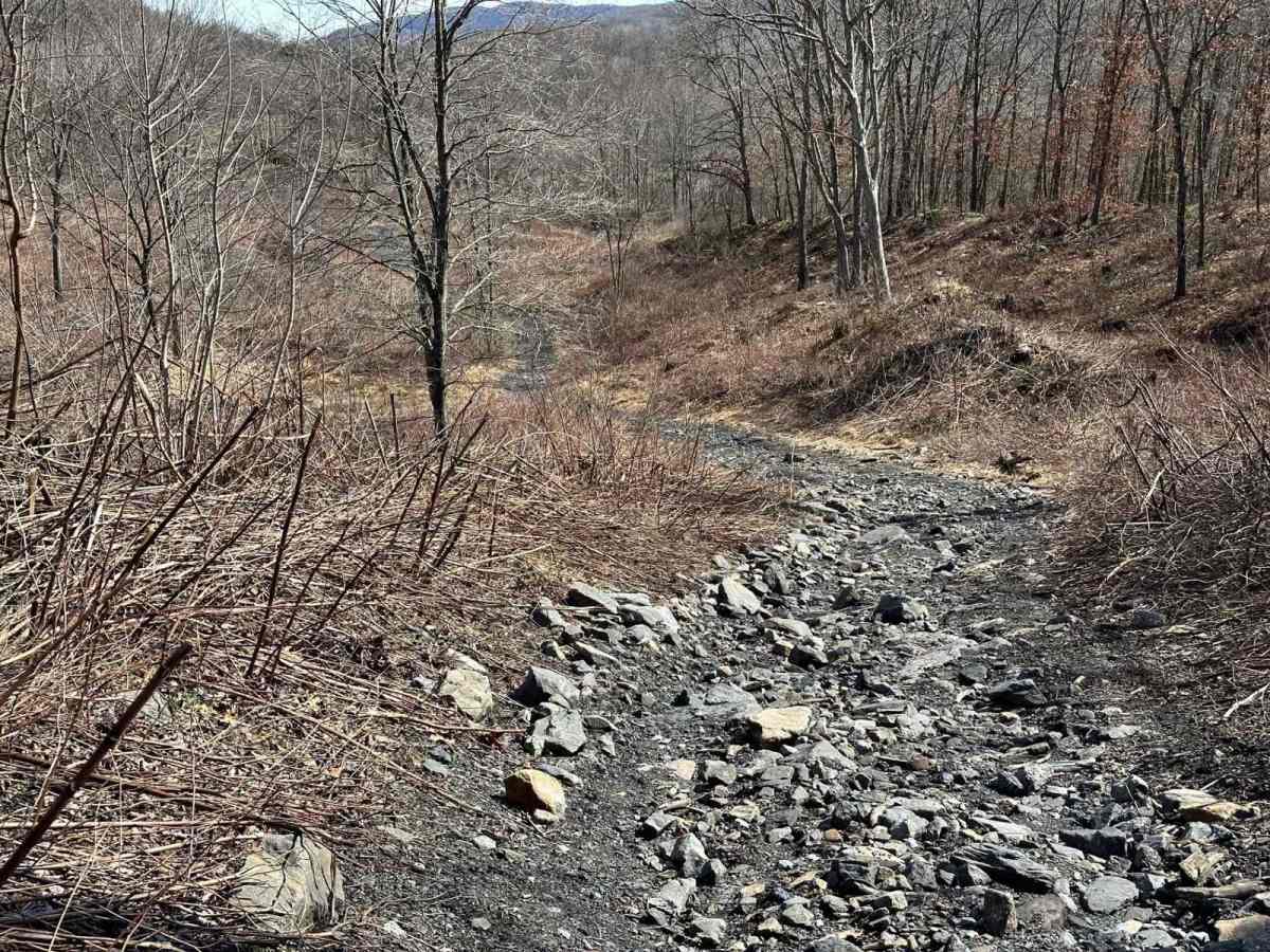 Ashland 39 photo 5