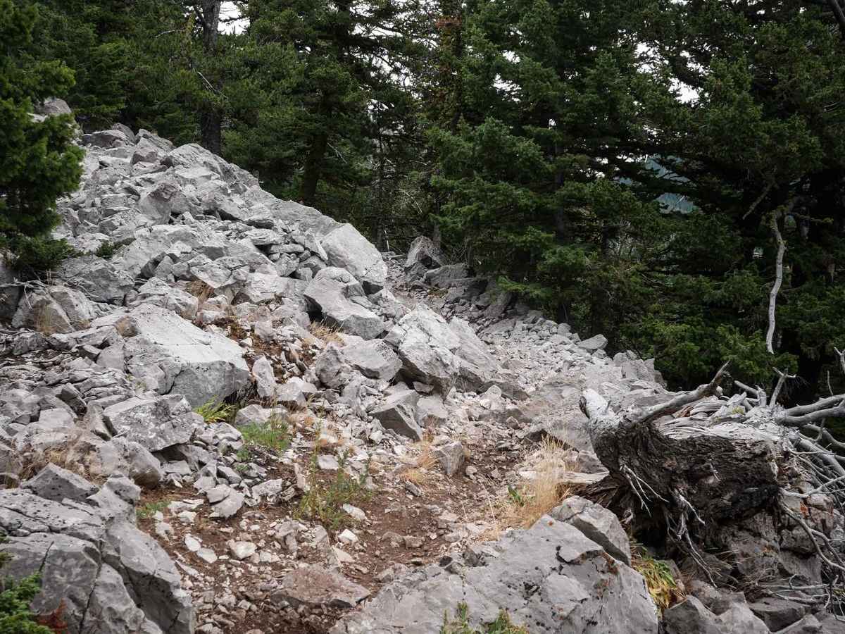 Bridger Ridge photo 6