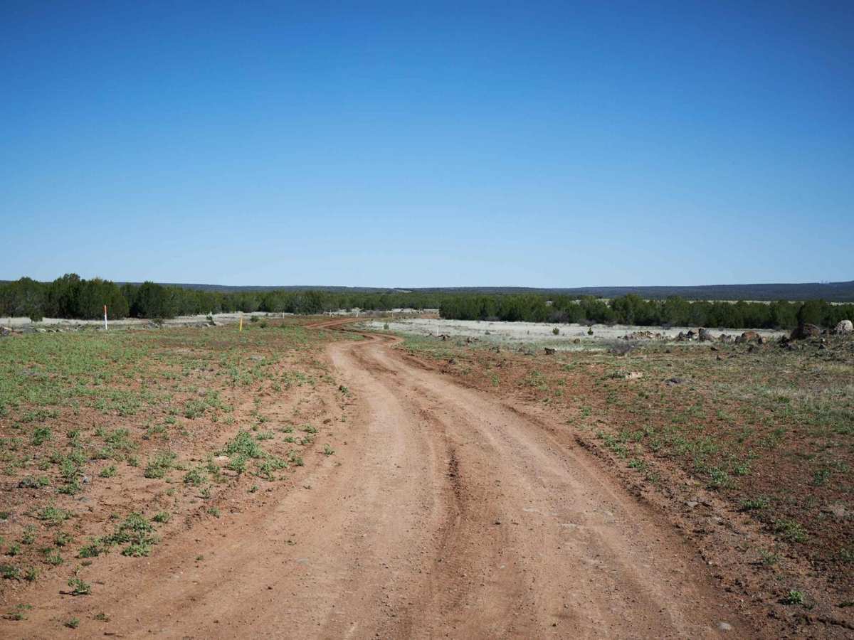 9031F trail photo