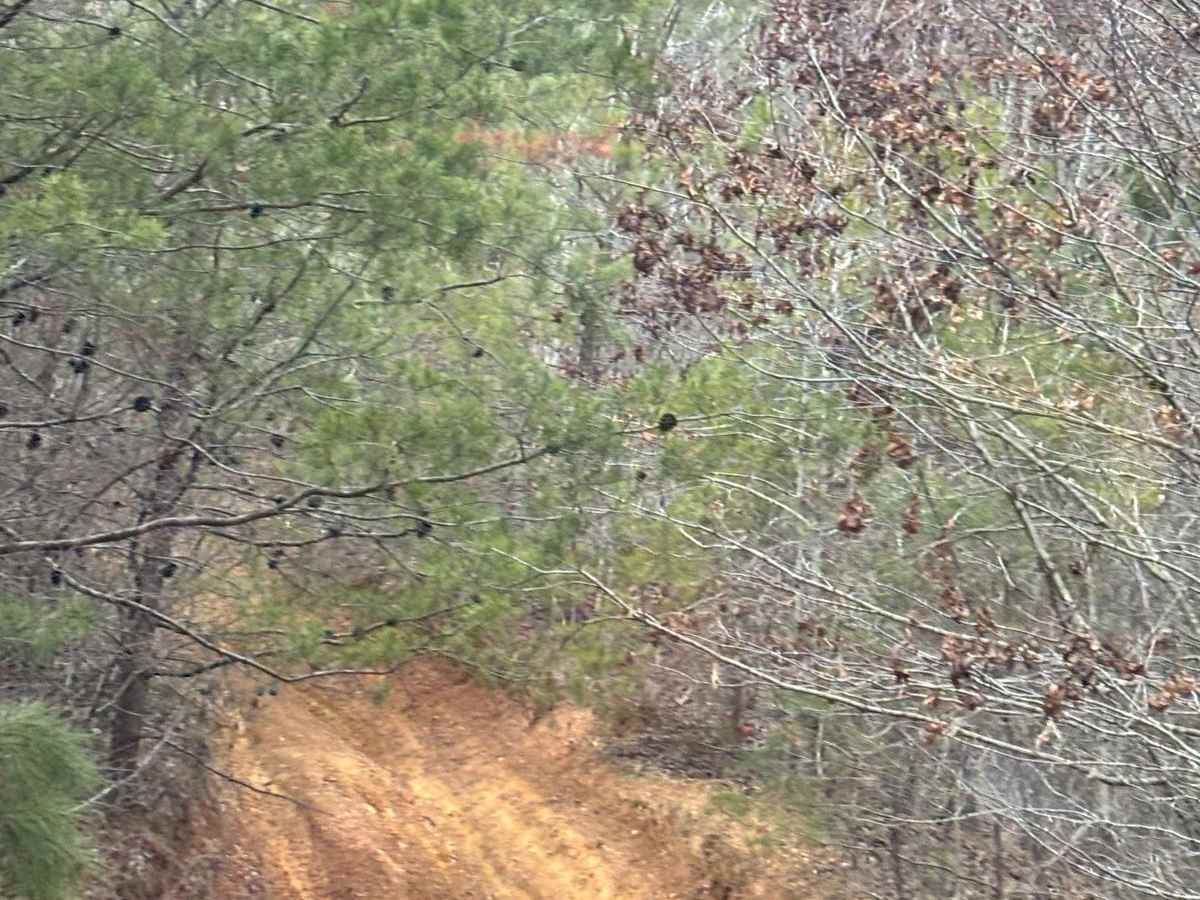 407H photo 2