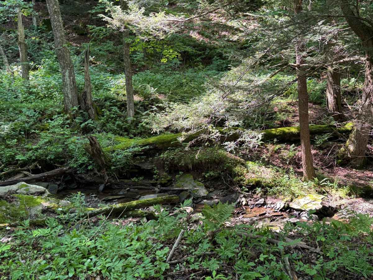 Cross Mountain Road photo 6