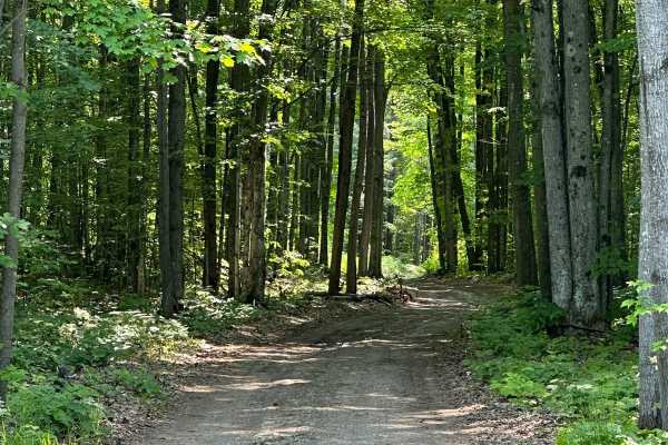 State Road