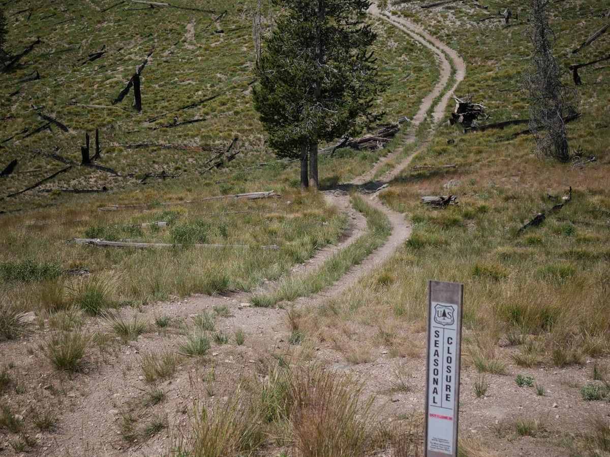 Upper Harden Creek ATV trail photo