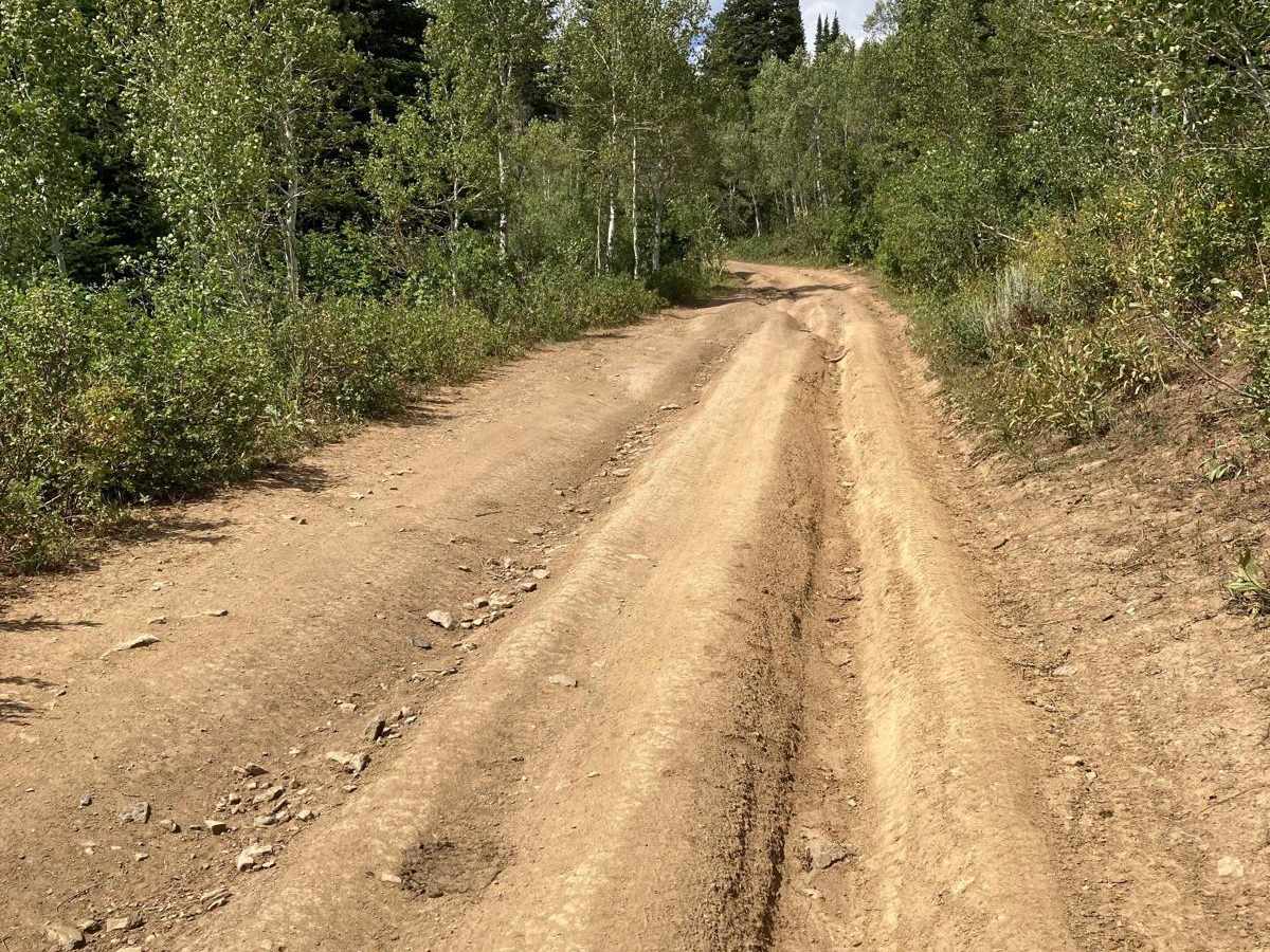 Birch Creek Road 407 photo 4