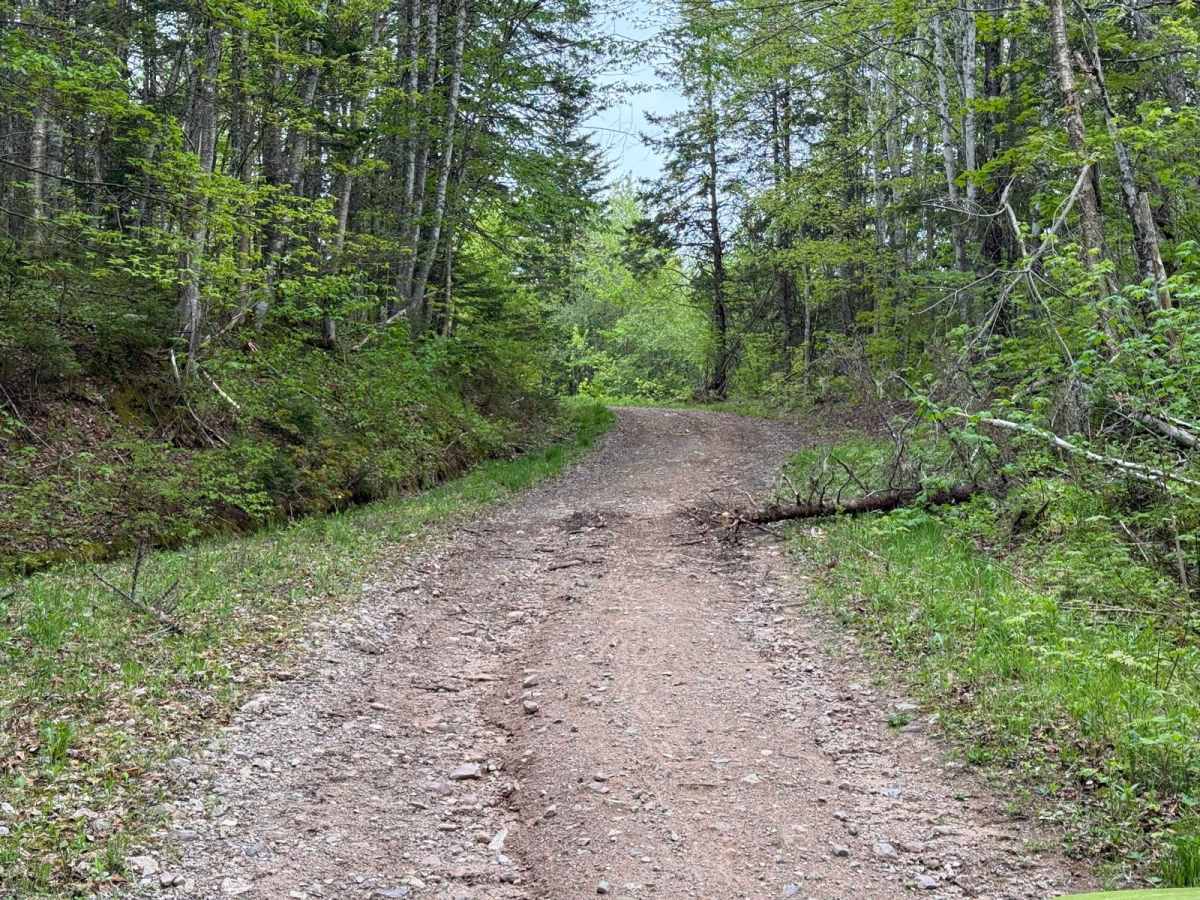 Pipers Glen Road photo 4