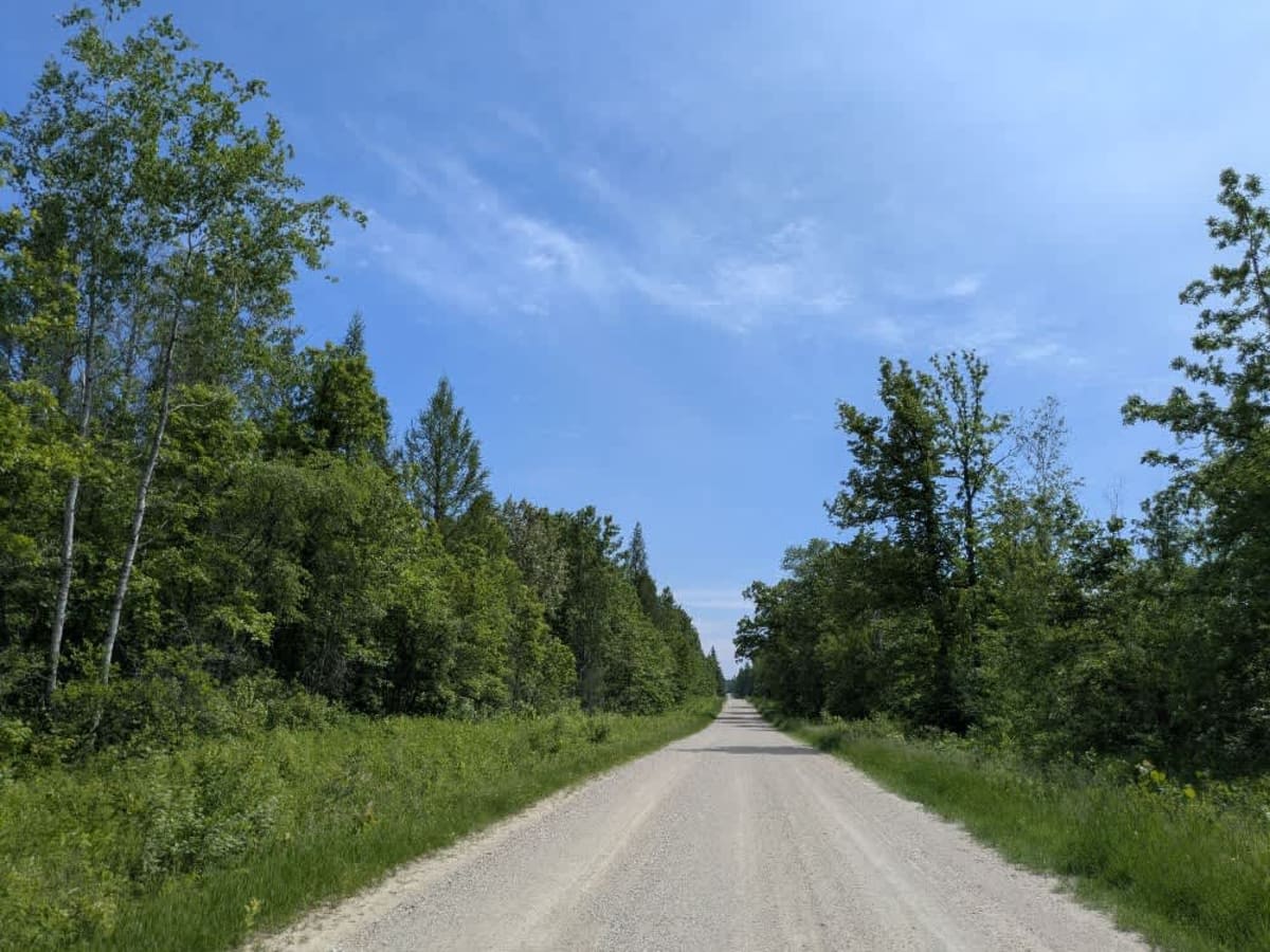 141 trail photo