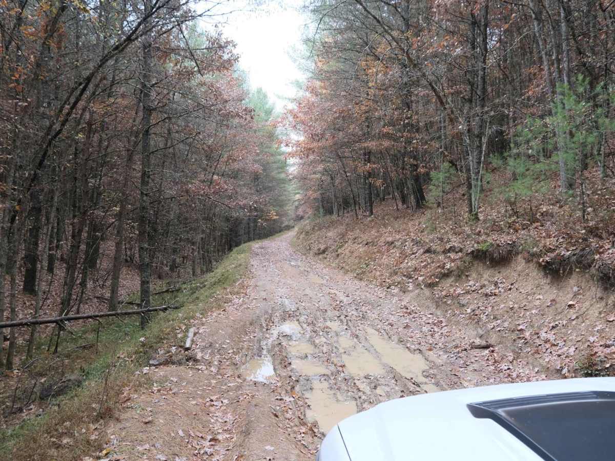 Pond Lick Road photo 3