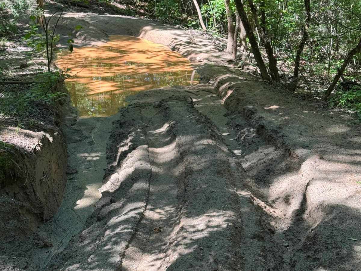 Clemson Detour trail photo
