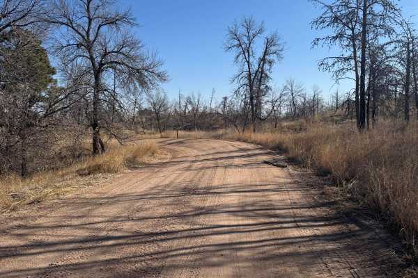 Forest Road 203 - Circle