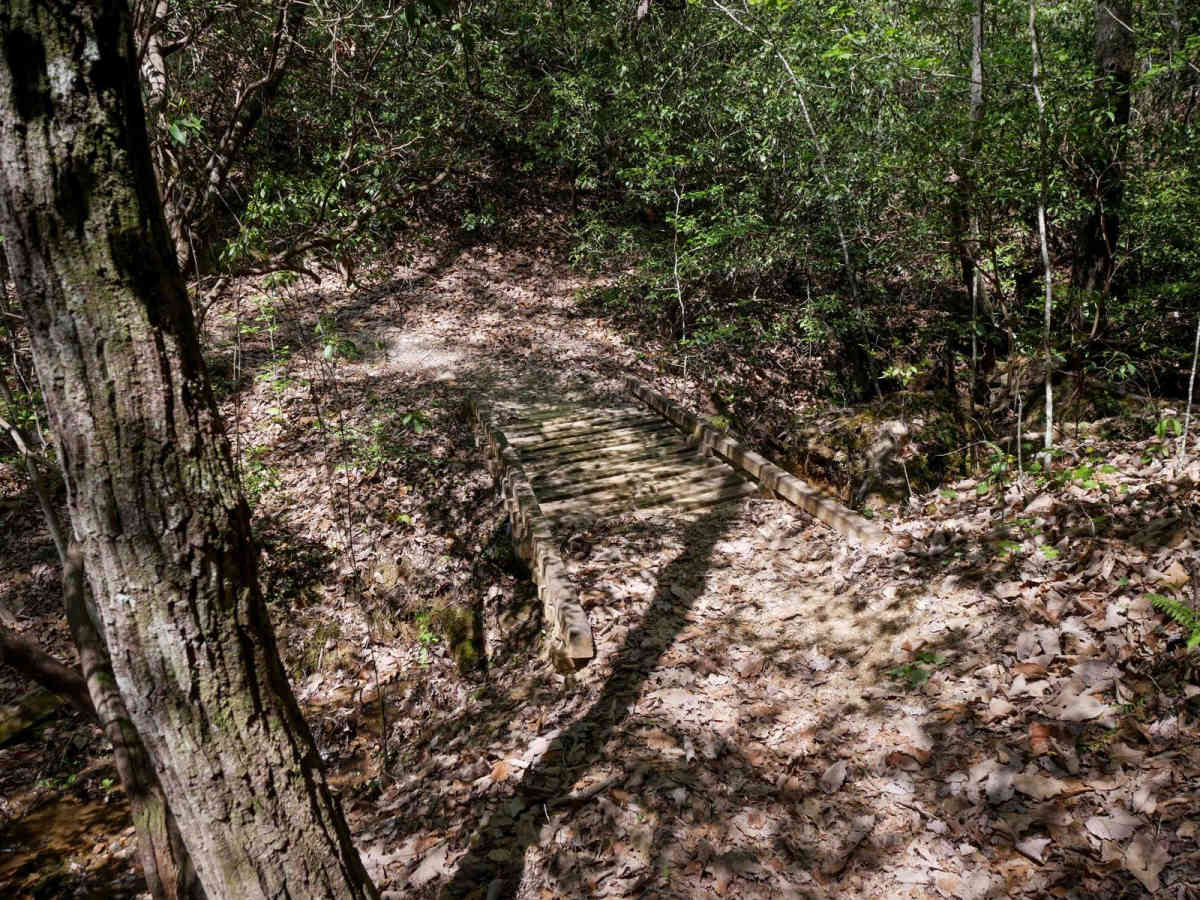 Double Bridges Trail F photo 5
